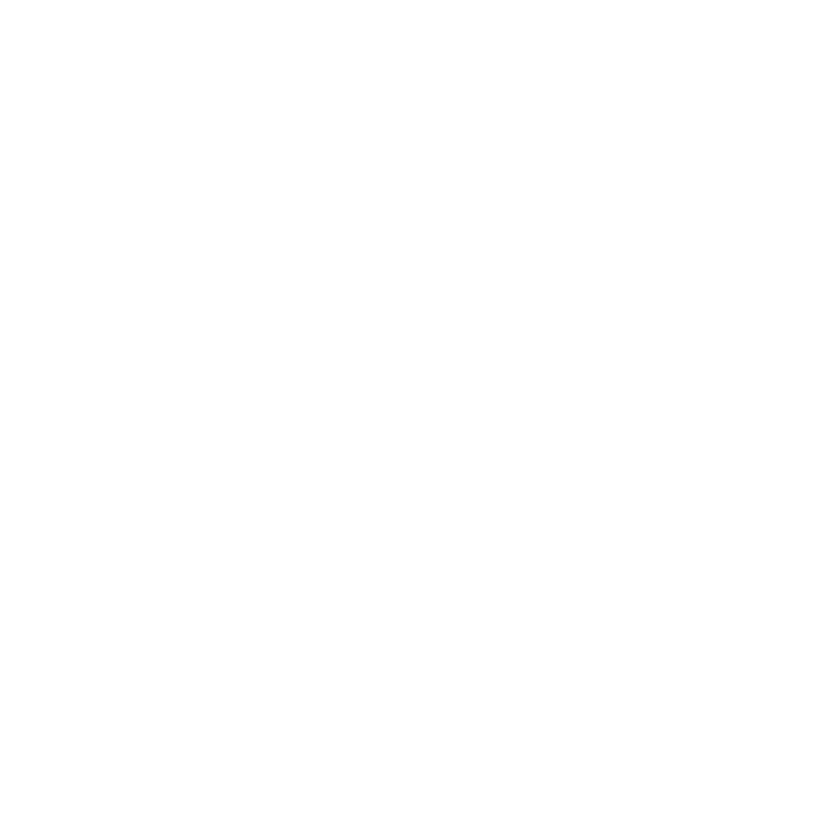 Core Value - Get Shit Done